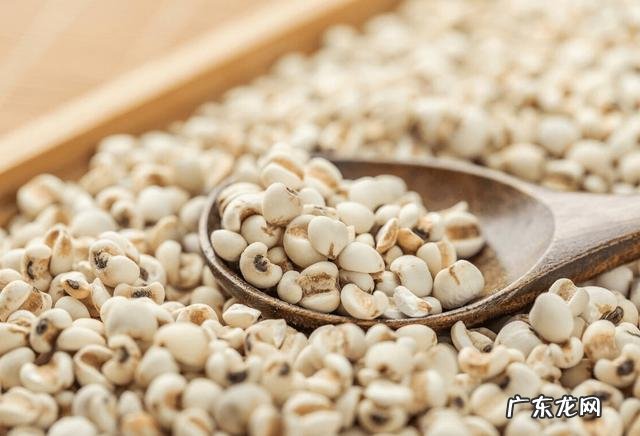 春天吃什么祛湿气最好 春天祛湿吃什么食物好