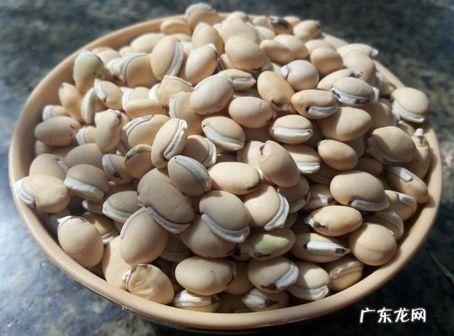 祛肝胆湿气最快的方法 吃什么可以祛身上的湿气效果最好