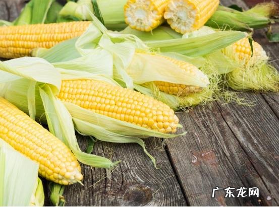 男性排湿气最快方法 湿气重怎么排湿最有效吃什么食物