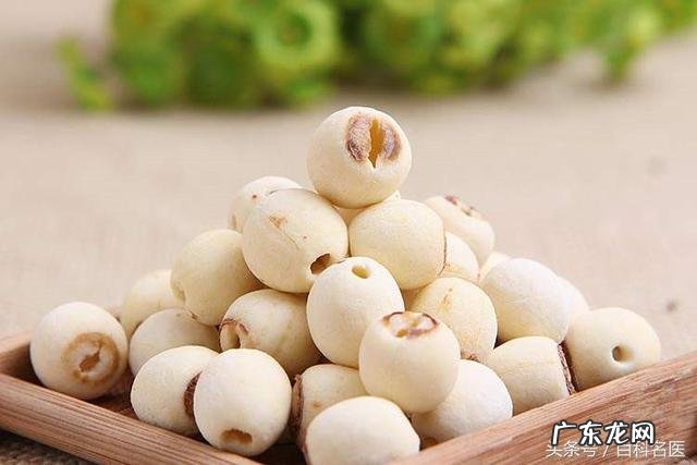 最佳祛湿食物 众所周知祛湿效果最好的食物