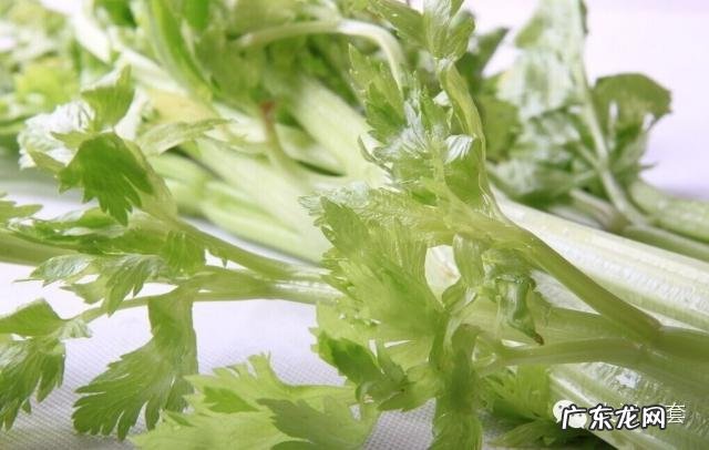 祛湿最好的三种食物 祛湿8种食物