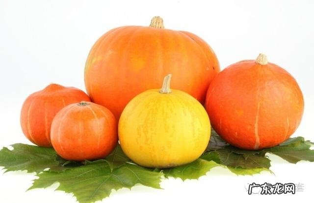 祛湿最好的三种食物 祛湿8种食物