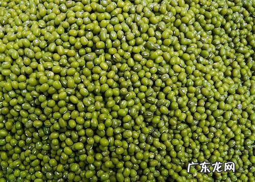 湿气重吃什么好排湿气 身体湿气重吃什么排出湿气呢