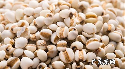 湿气重吃什么好排湿气 身体湿气重吃什么排出湿气呢