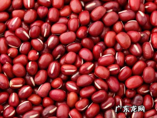 湿气重吃什么好排湿气 身体湿气重吃什么排出湿气呢