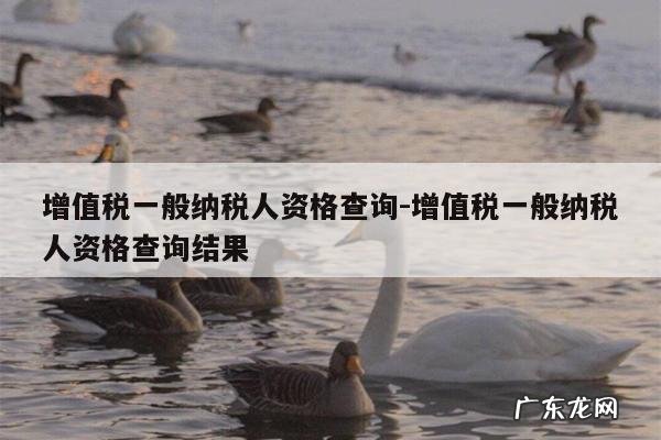 增值税一般纳税人资格查询-增值税一般纳税人资格查询结果