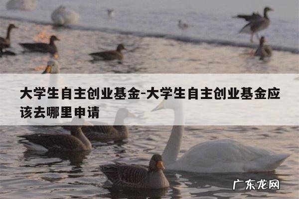 大学生自主创业基金-大学生自主创业基金应该去哪里申请