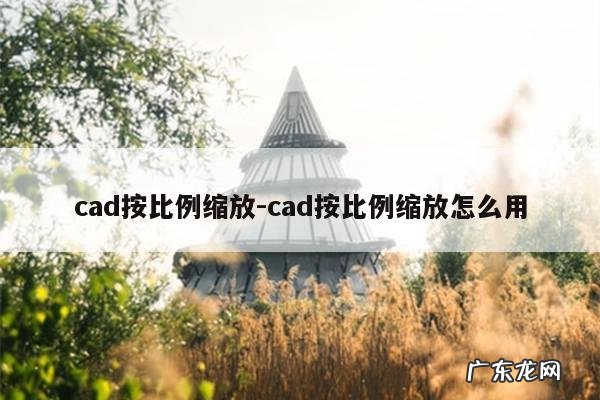cad按比例缩放-cad按比例缩放怎么用