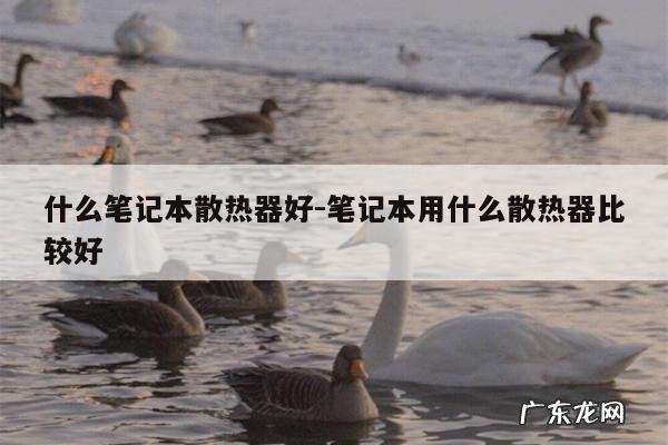 什么笔记本散热器好-笔记本用什么散热器比较好