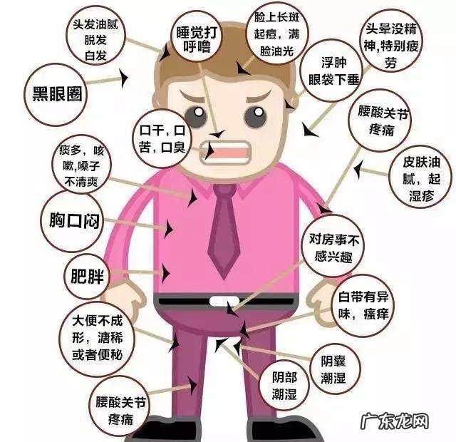 体内有湿热吃什么最好 体内湿热吃什么食物效果最好