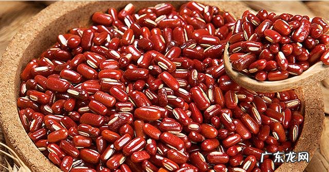 体内有湿热吃什么最好 体内湿热吃什么食物效果最好