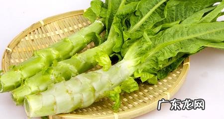 体内有湿热吃什么最好 体内湿热吃什么食物效果最好