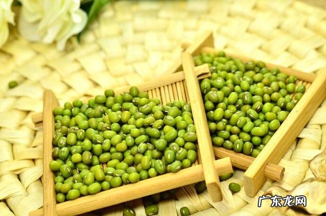 体内有湿热吃什么最好 体内湿热吃什么食物效果最好