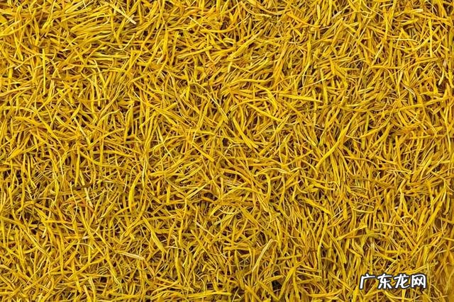 哪些食物能改善湿气重 湿气重吃什么食物能减轻湿气