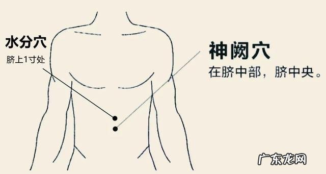八种食物越吃湿气越重 四种食物越吃湿气越重一定要远离