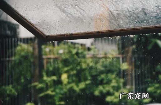 梅雨祛湿最好的方法 梅雨天吃什么祛湿