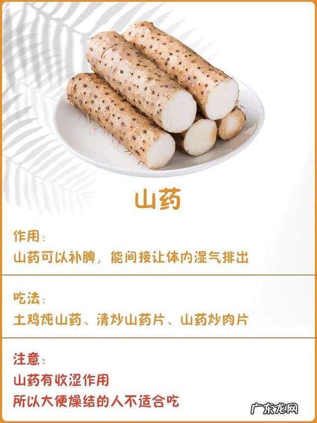 吃什么食物可排出体内湿气 吃什么食物可以祛除体内湿气