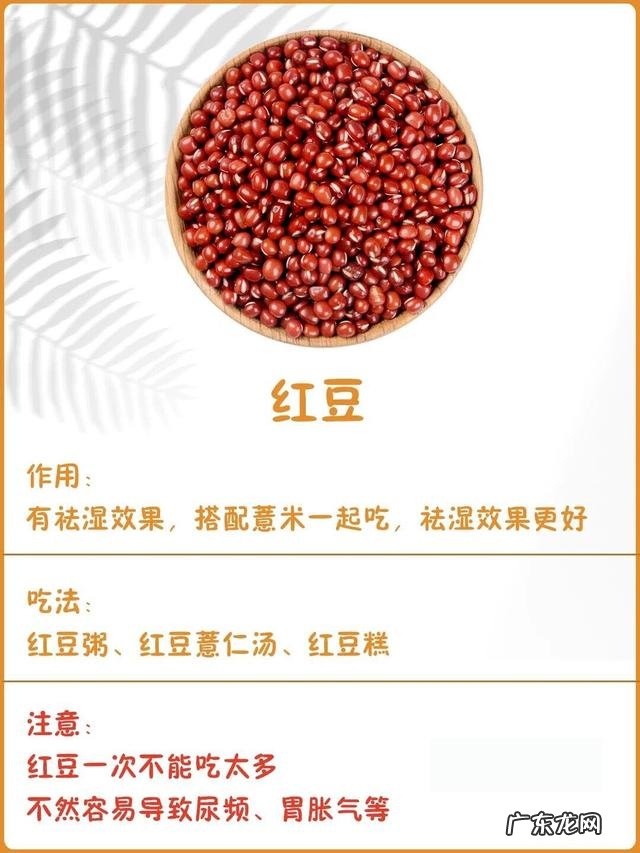 吃什么食物可排出体内湿气 吃什么食物可以祛除体内湿气