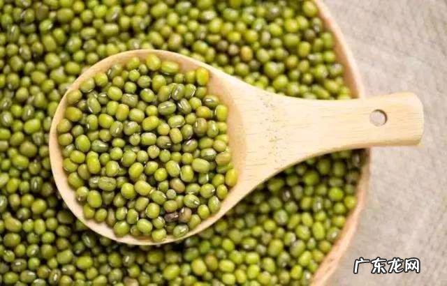 除湿的十大食物 除湿最好的五种食物