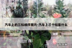 汽车上的三标顺序图片-汽车上三个标是什么