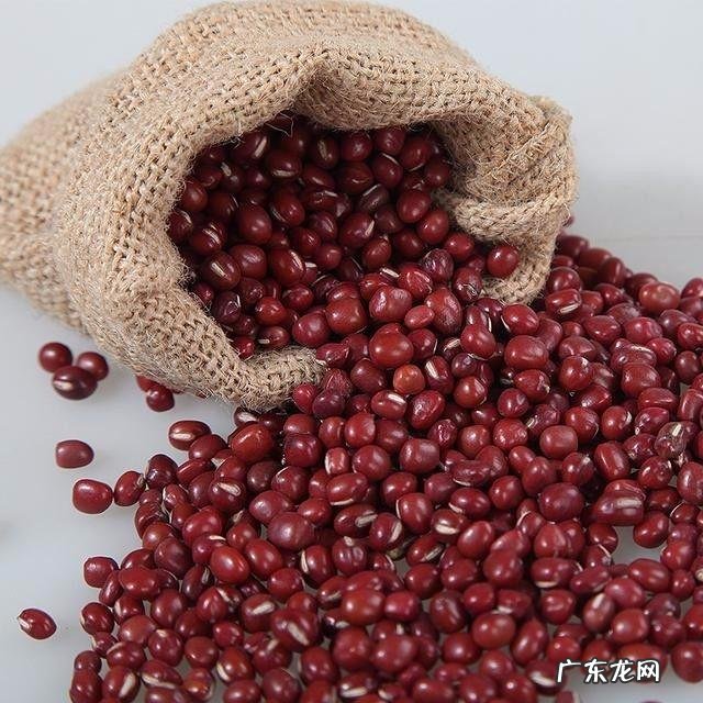 湿气重吃什么食物才好 体内湿气重应该多吃什么食物