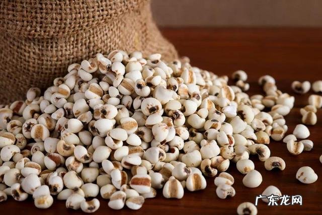 红豆薏米粥祛湿热怎么煮 红豆薏米祛湿粥如何做效果更好