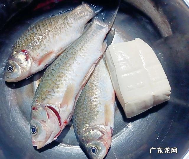 立夏前后吃什么食物好 立夏后吃什么食物北方立夏吃啥