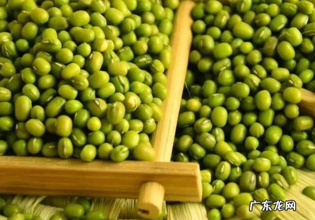 芒种减暑气的食物 芒种祛湿食物有哪些