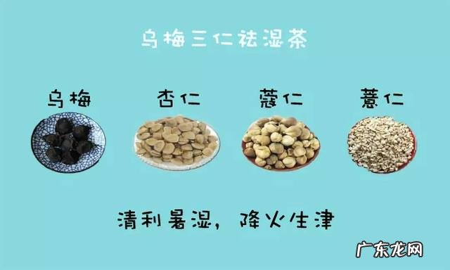 谷雨祛湿吃什么药 谷雨祛湿食物