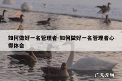 如何做好一名管理者-如何做好一名管理者心得体会