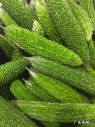 哪些食材可以清热解暑 三伏天清热消暑食材