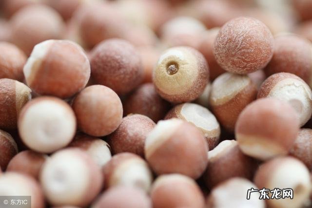 增加湿气的食物 湿气重的人可以吃哪些食物