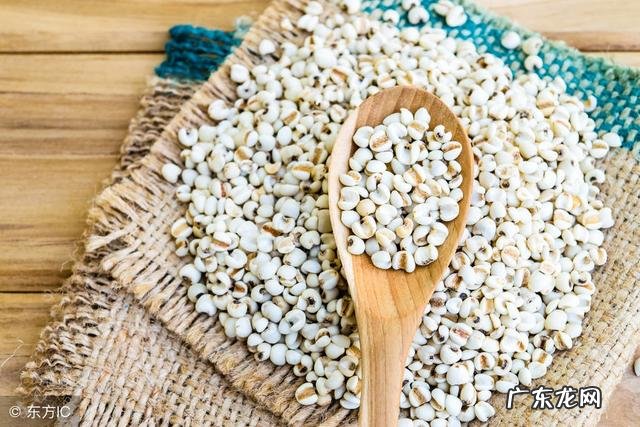 湿气重煲汤 湿气重拿什么煲汤好