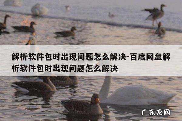 解析软件包时出现问题怎么解决-百度网盘解析软件包时出现问题怎么解决