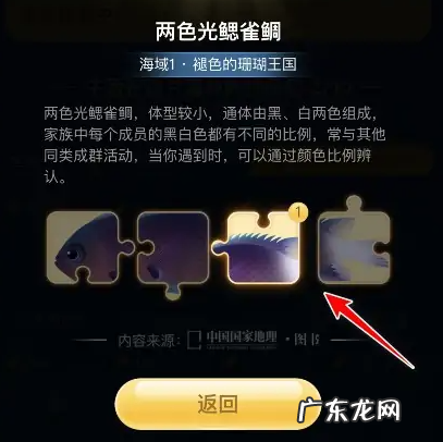 支付宝神奇海洋拼图在哪里?蚂蚁海洋怎么获得拼图?