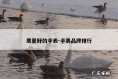 质量好的手表-手表品牌排行