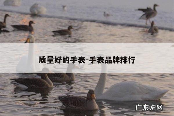 质量好的手表-手表品牌排行