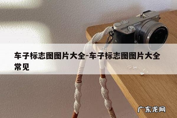 车子标志图图片大全-车子标志图图片大全 常见