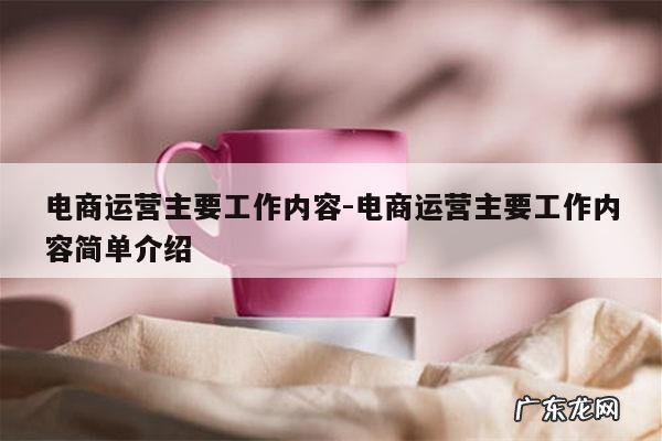 电商运营主要工作内容-电商运营主要工作内容简单介绍