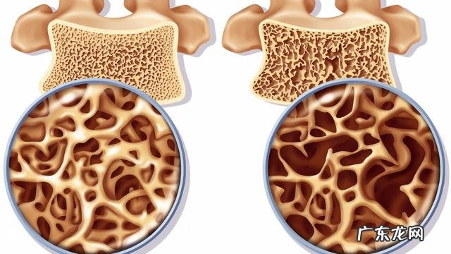 老年人年龄划分新标准表 老年人的年龄标准是高于多少岁