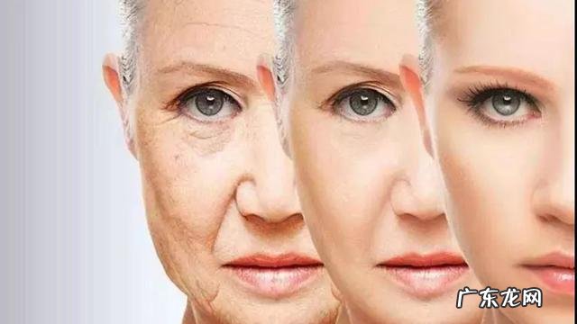 老年人年龄划分新标准表 老年人的年龄标准是高于多少岁