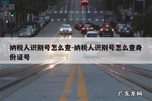 纳税人识别号怎么查-纳税人识别号怎么查身份证号
