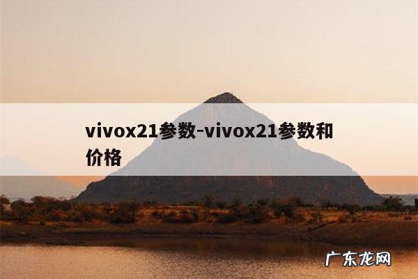 vivox21参数-vivox21参数和价格