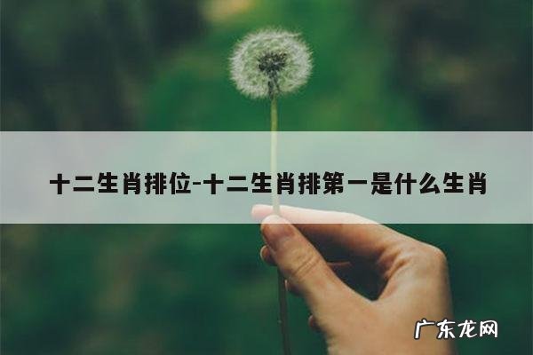 十二生肖排位-十二生肖排第一是什么生肖