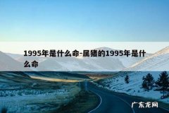 1995年是什么命-属猪的1995年是什么命