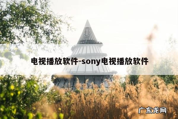 电视播放软件-sony电视播放软件