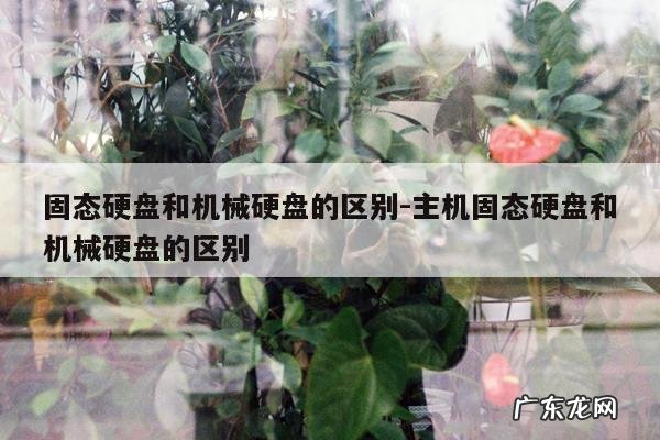 固态硬盘和机械硬盘的区别-主机固态硬盘和机械硬盘的区别