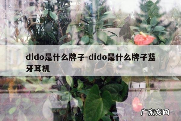 dido是什么牌子-dido是什么牌子蓝牙耳机