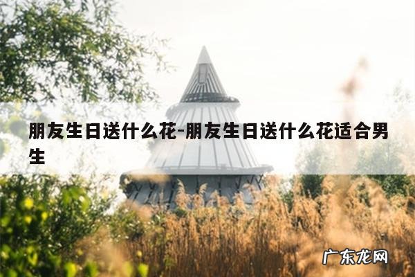 朋友生日送什么花-朋友生日送什么花适合男生
