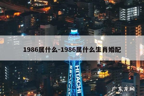1986属什么-1986属什么生肖婚配